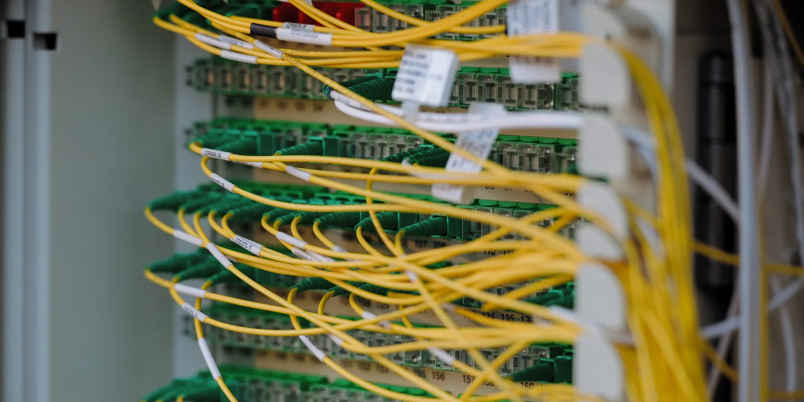 Network cables connected to a server rack