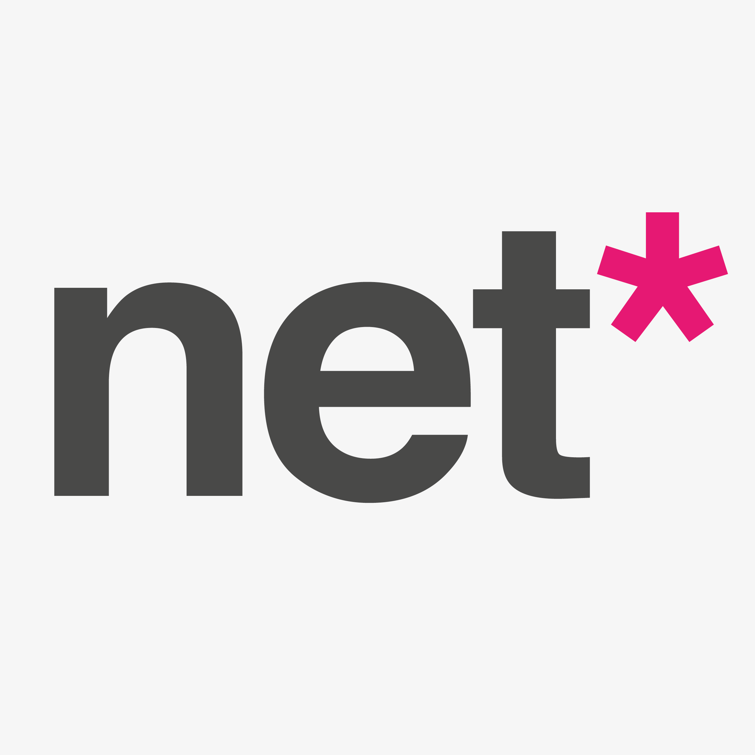 net development ltd Logo